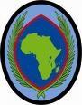 US Africa Command Combat Service Identification Badge Army Element Official Insignia for Service Members