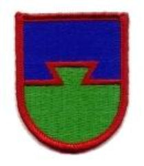 US Air Force Tactical Air Control Party Beret Flash - Saunders Military Insignia