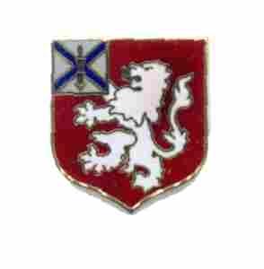 US Army 102nd Engineer Battalion Unit Crest