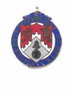 US Army 107th Support Group - was Infantry Unit Crest