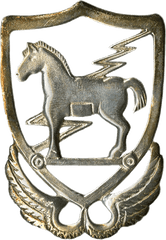 US Army 10th Special Forces Large Beret Badge - Saunders Military Insignia