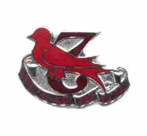 US Army 137th Aviation Battalion Unit Crest