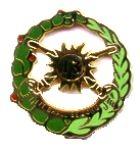 US Army 13th Armored Unit Crest