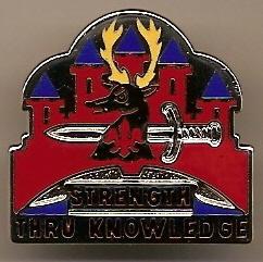 US Army 141st Military Intelligence Unit Crest