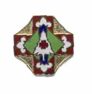 US Army 173rd Medical Group Unit Crest