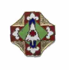 US Army 173rd Medical Group Unit Crest - Saunders Military Insignia