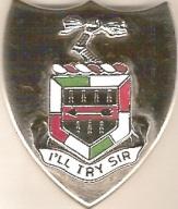 US Army 177th Finance Unit Crest
