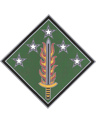 US Army 20th Support Command Combat Service Identification Badge - Saunders Military Insignia