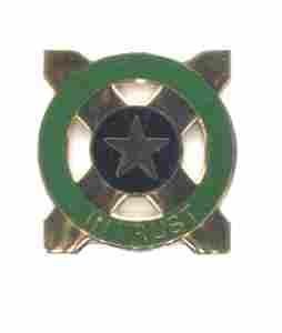 US Army 231st Military Police Battalion Unit Crest