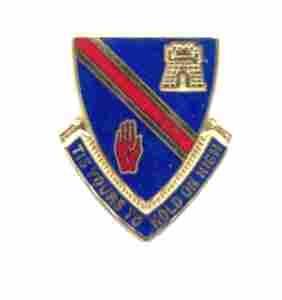 US Army 241st Engineer Battalion Unit Crest