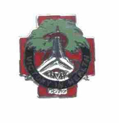 US Army 251st Evacuation Hospital Unit Crest - Saunders Military Insignia