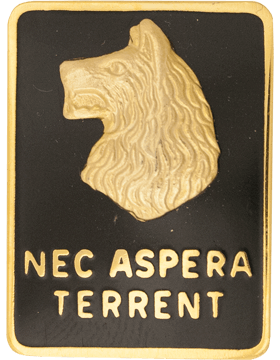 US Army 27th Infantry Brigade Unit Crest left facing