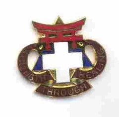 US Army 301st Field Hospital Unit Crest - Saunders Military Insignia