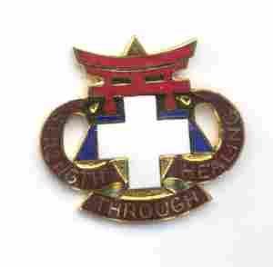US Army 301st Field Hospital Unit Crest