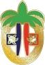 US Army 305th Field Hospital Unit Crest