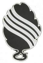 US Army 305Th Regiment Unit Crest - Saunders Military Insignia