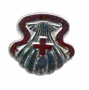 US Army 334th Medical Group Unit Crest