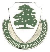US Army 348th Regiment Unit Crest