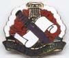 US Army 356th Civil Affairs Unit Crest