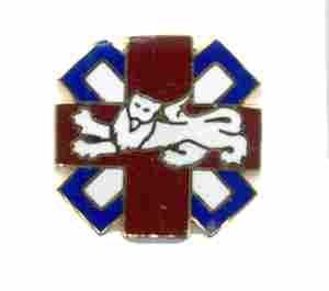 US Army 364th Field Hospital Unit Crest