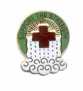 US Army 365th Evacuation Hospital Unit Crest