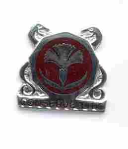 US Army 39th Medical Group Unit Crest