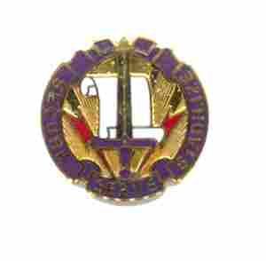 US Army 405th Civil Affairs Group Unit Crest