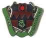 US Army 423rd Medical Battalion Unit Crest