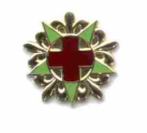 US Army 45th Field Hospital Unit Crest
