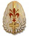 US Army 52nd Aviation Battalion Unit Crest
