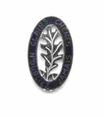 US Army 6th Engineer Battalion Unit Crest - Saunders Military Insignia