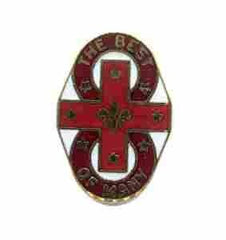 US Army 8th Evacuation Hospital Unit Crest - Saunders Military Insignia