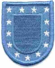 US Army Beret Flash - Saunders Military Insignia