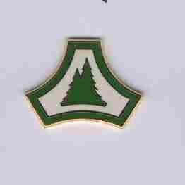 US Army Fort McCoy WI Unit Crest
