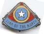 US Army Headquarters 205 Infantry Brigade Unit Crest - Saunders Military Insignia
