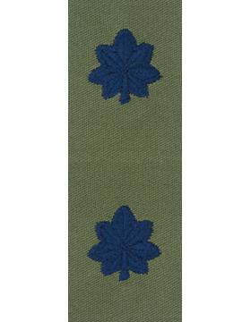 US Army Lieutenant Colonel Officers Rank insignia