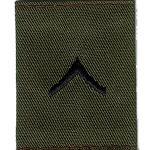 US Army Private gortex rank isnignia