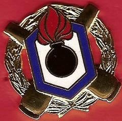 US Army Rant Mentions and Chemical Command Unit Crest - Saunders Military Insignia