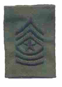 US Army Sergeant Major Gortex Rank Insignia