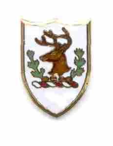 US Army Vermont National Guard Unit Crest - Saunders Military Insignia