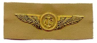 US Navy Aircrew Wing in tan