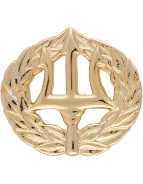 US Navy Command Ashore miniature badge - Saunders Military Insignia