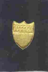 USCG Sleeve Device Bullion, gold on black felt