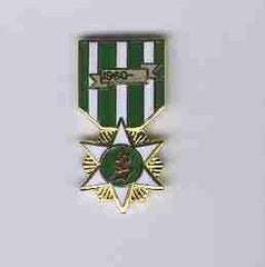 Vietnam Campaign, Lapel Pin - Saunders Military Insignia