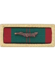 Vietnam Civil Action Action with Palm Ribbon Bar - Saunders Military Insignia