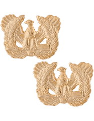 Warrant Officer Army branch of service badge - Saunders Military Insignia