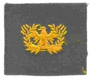 Warrant Officer Cloth Badge Olive Drab Uniform Insignia For Military Gear Authentic Durable