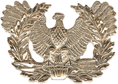 Warrant Officer Cap Device - Saunders Military Insignia