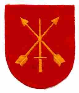 White Star Team Beret Flash