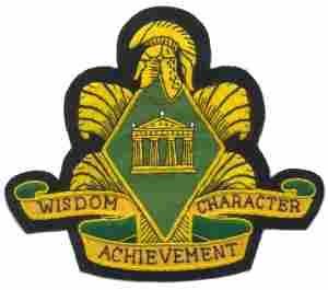 Womens Army Corps School Custom made Cloth Patch - Saunders Military Insignia